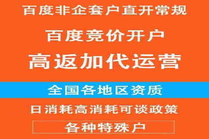 案例解析：SEM投放助力电商增长